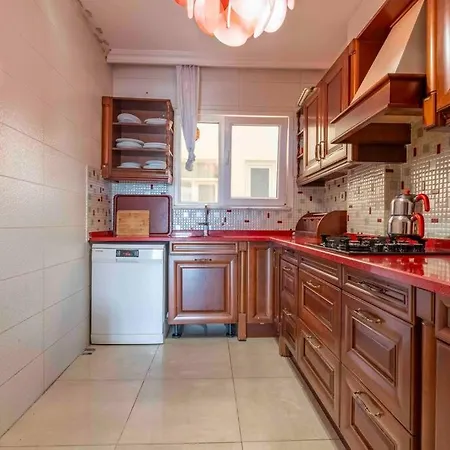 Bakirkoeyde Saray Dairesi Istanbul